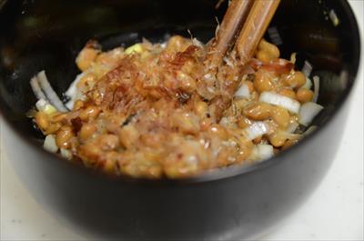 [画像がありません]（9月26日）