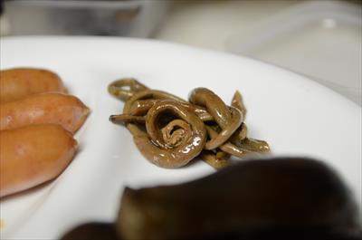 [画像がありません]（12月7日）