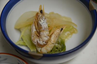 [画像がありません]（12月17日）