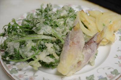 [画像がありません]（1月9日）