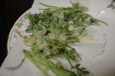 [画像がありません]（1月12日）