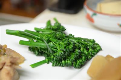 [画像がありません]（1月16日）