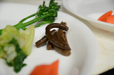 [画像がありません]（1月24日）