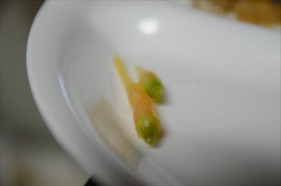 [画像がありません]（1月30日）