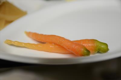 [画像がありません]（1月31日）