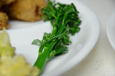 [画像がありません]（2月4日）