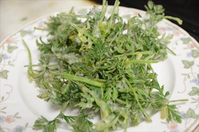 [画像がありません]（2月6日）