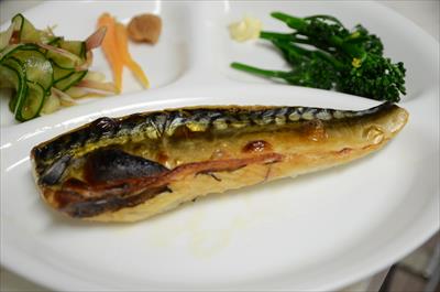 [画像がありません]（2月20日）