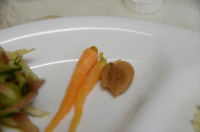 [画像がありません]（2月20日）