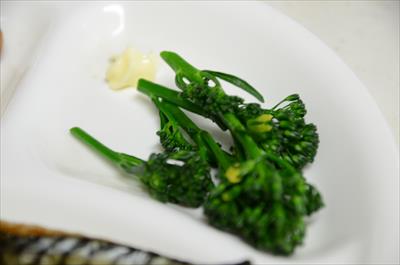 [画像がありません]（2月20日）