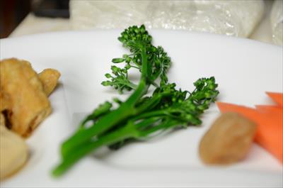 [画像がありません]（2月24日）