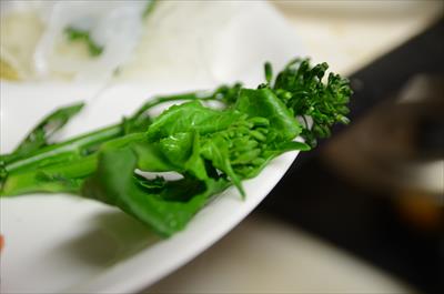 [画像がありません]（2月27日）