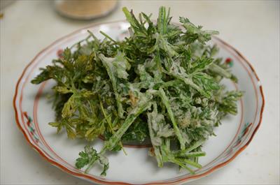 [画像がありません]（3月4日）