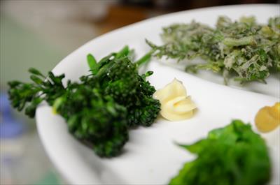 [画像がありません]（3月11日）