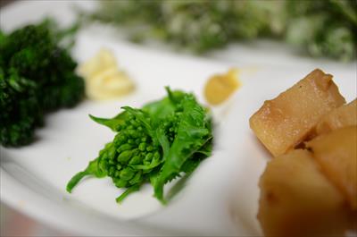 [画像がありません]（3月11日）