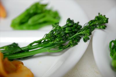 [画像がありません]（3月12日）