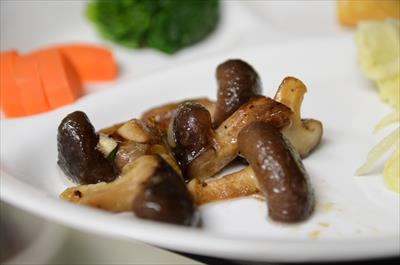 [画像がありません]（3月16日）