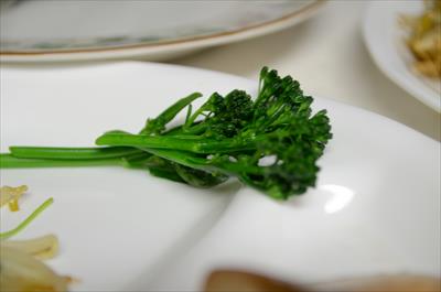 [画像がありません]（3月19日）