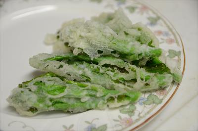 [画像がありません]（3月19日）