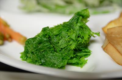 [画像がありません]（3月21日）