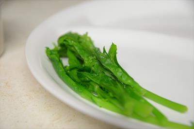 [画像がありません]（4月11日）