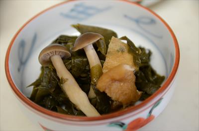 [画像がありません]（4月15日）