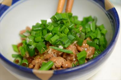 [画像がありません]（4月16日）