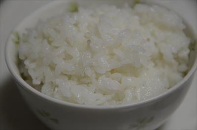 [画像がありません]（4月17日）