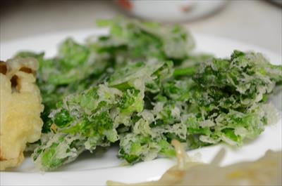 [画像がありません]（4月22日）