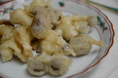 [画像がありません]（4月30日）