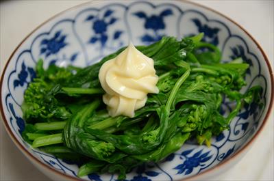 [画像がありません]（5月4日）