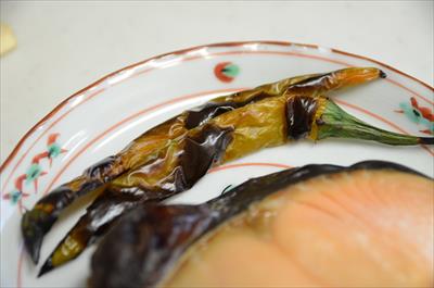 [画像がありません]（5月4日）