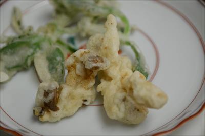 [画像がありません]（5月5日）