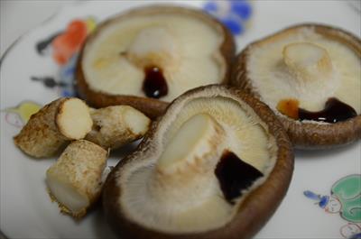 [画像がありません]（6月16日）