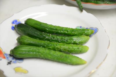 [画像がありません]（8月4日）