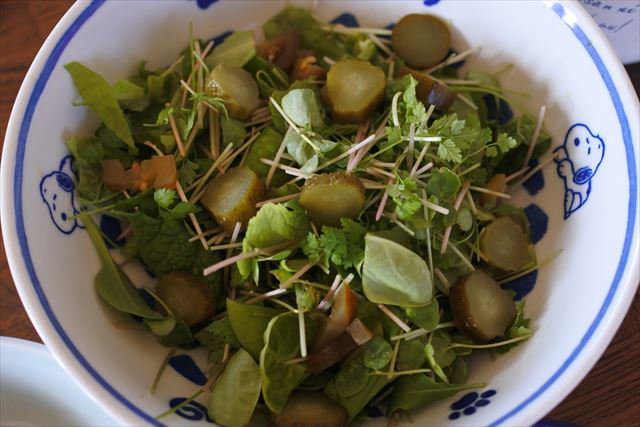 [画像がありません]ハンバーグとパスタの夕食、自家栽培フレッシュ野菜サラダ付（1月7日）