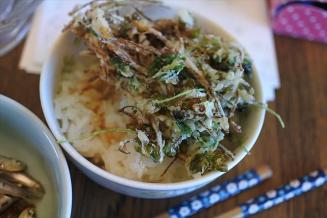 [画像がありません]自家製野菜の天ぷら、ぜんまい煮、ポテトサラダ他（1月26日）