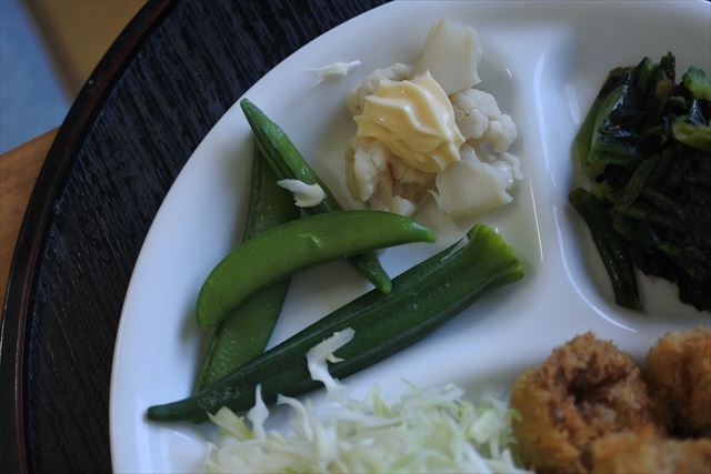 [画像がありません]鶏のから揚げ、玉ねぎの天ぷら（12月6日）