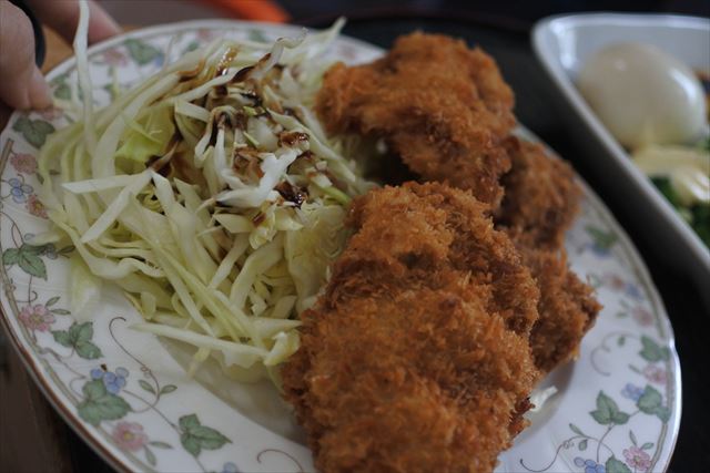 [画像がありません]豚カツとひややっこの夕食（4月10日）