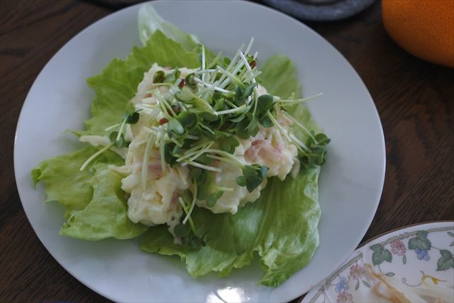 [画像がありません]葡萄の葉を天ぷらにする季節がやってきました（4月25日）