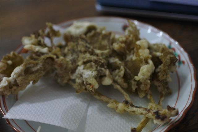 [画像がありません]鶏の照り焼きと葡萄の芽の天ぷら（5月2日）