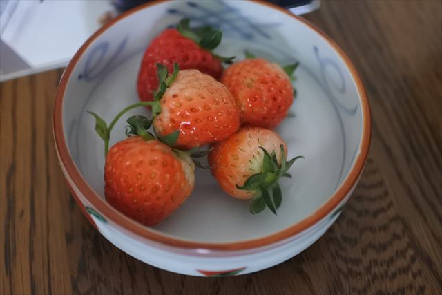 [画像がありません]ステーキとかひややっこの夕食（5月15日）