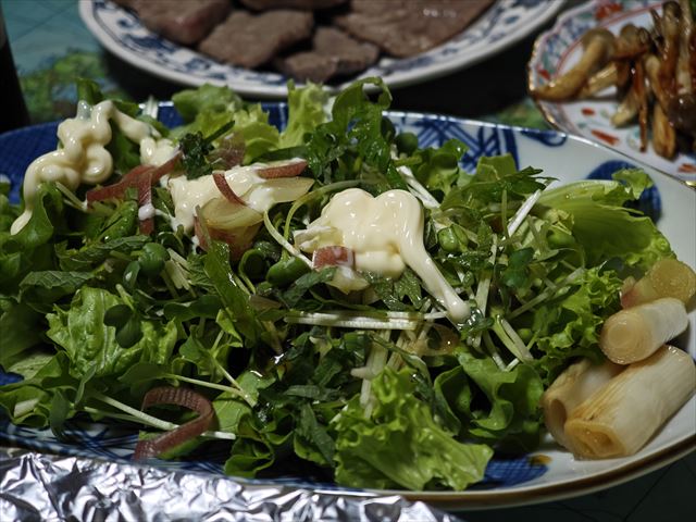 [画像がありません]飛騨高山滞在：さばの塩焼きなど（7月10日）