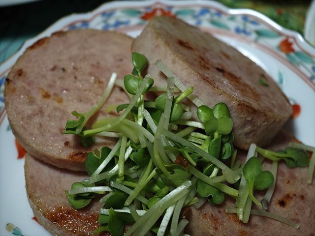 [画像がありません]飛騨高山滞在：餃子とか梅御飯とか（7月14日）